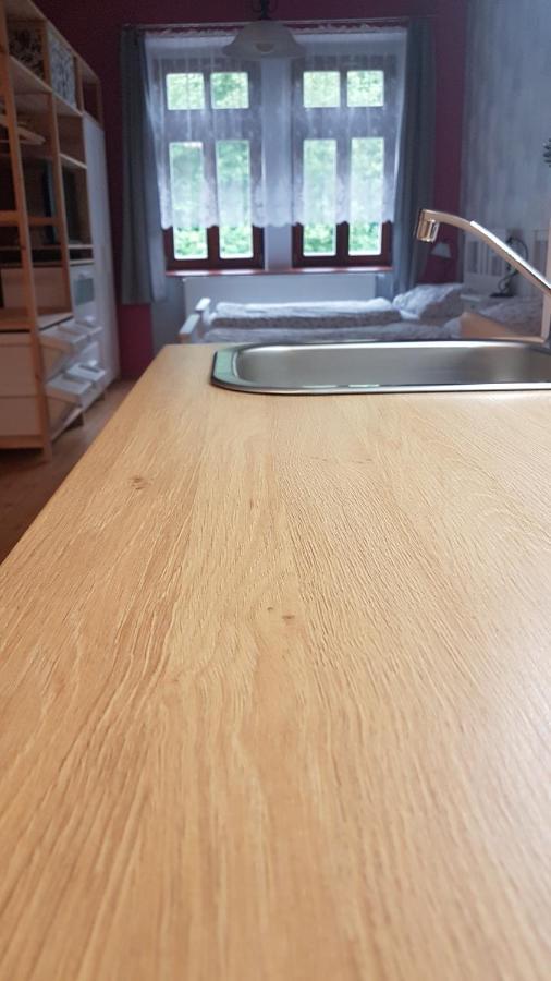 Apartman U Vaclava V Centru Mesta Litomyšl Zewnętrze zdjęcie