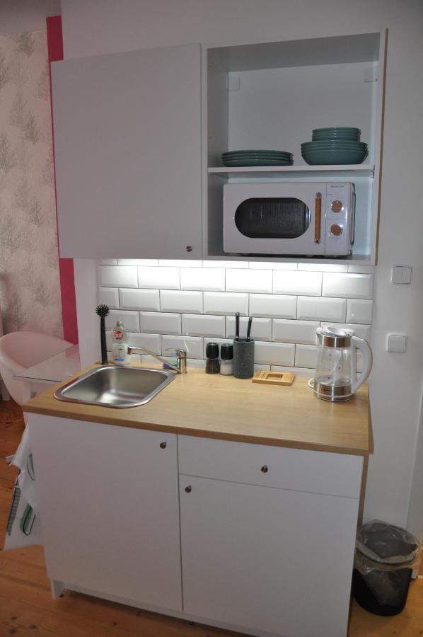 Apartman U Vaclava V Centru Mesta Litomyšl Zewnętrze zdjęcie